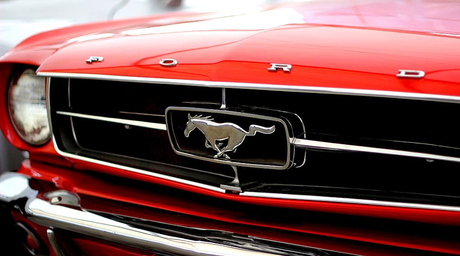Popular Cars of Past and Present Named After Horses | SnapLap